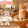 ラタン・天然素材の猫ベッドおすすめ5選｜インテリアに馴染むおしゃれな猫ちぐら・サークルベッドを比較