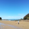 吉野熊野国立公園「鳥の巣半島」で、春・夏・秋と植生調査。定点観察の愉しみ。