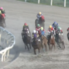 ４角までは勝ったと思ったが、、４角勝負どころで他馬と接触・カットされる大不利で９着