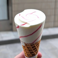 自販機アイス【セブンティーンアイス】ワッフルコーン使用の「木苺のチーズケーキ」を実食レポ