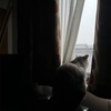 梅雨らしい雨の日が続いています。
