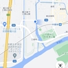 宇治川付近の植生 Part1 (2021年4月25日)