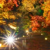 太宰府天満宮　竈門神社　の紅葉