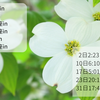 5月星模様