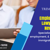 Do You Need Help Of New York Employment Lawyers?