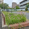  (巻四十四)我になく蜜蜂にある社会性(森哲州