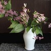 秋の花