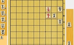 記事を見る