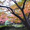 東京都庭園美術館