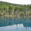 【青い池】　人気の観光スポット！神秘的なコバルトブルーの池
