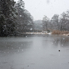 雪の三宝寺池