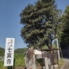 七面山口〜小和田山〜半国山〜宮川縦走