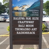 【ハワイ観光】ノースショアのHALEIWA TOWN CENTER (ハレイワタウンセンター）で亀と戯れる！