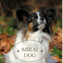 MIRAIDOG