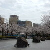 JR川崎駅西口付近の幹線道路沿いの桜並木見物！！