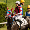 中京記念ウインガニオン　前走完勝も今回は展開向かず苦しい競馬か