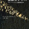 ▼『監獄ビジネス』アンジェラ・デイヴィス