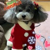 皆さんに少しでもhappyを…  Merry Xmas