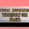 プロレス　好きな選手の紹介〜WWE/NXT GM~ Part12