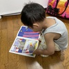 ２歳に翻弄される。かわいいけどさ。
