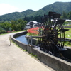 彼岸華