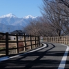 拾ヶ堰の散歩