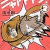 猫マンガ２巻×２冊