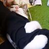 【うらやま】腕に抱きついて離さない！抱きつき猫【動画】