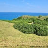 東牧場の池（仮称）（沖縄県与那国島）