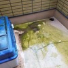 ベランダの掃除をした 備忘録