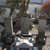 神奈川県の庚申塔 #26（海老名市上河内・定国寺）