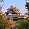 松山城の桜はもう散ってました