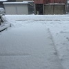 もう乗れないよねこんな雪じゃ…