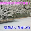 【青森】桜の川ができる？弘前さくらまつりを100倍楽しむ方法！