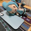 iPhone 16がきたので、移行祭りとかアクセサリ買い揃えとかの話。