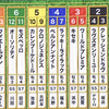 有馬記念の枠確定！気になる馬6頭を自分なりに軽く解説してみた