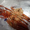 夜はカニ鍋！なのです