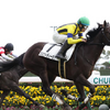 2024 - 府中牝馬ステークス - 予想・見解 / S-Johnny's - Garden
