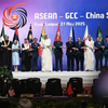 サルマン・ラフィ・シェイク「ASEAN が世界秩序を『下から』再構築する」