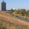東京都北区赤羽マラソンの練習に混ざって荒川沿いコースを走ってみる