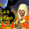 【FF14】D4のD4によるD4のための至天の座アルカディア零式：ライトヘビー級２層