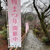 梅の花早咲き遅咲き人さまざま