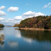 寺ケ池公園