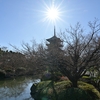 平日だから…その４　ちょっくら東寺編