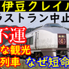 【短命&ラストラン中止】651系 伊豆クレイル 不運の観光列車を振り返る