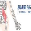 腰痛と腸腰筋の関係。