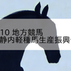 2023/10/10 地方競馬 門別競馬 11R 静内軽種馬生産振興会特別(A4)
