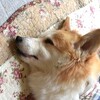 GW振り返り～せがちゃんの功績！