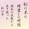 「松の木の精霊」との対話　〜瀕死の状態から生き返った松の木