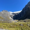 Fiordland